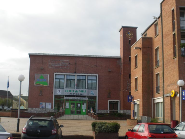 Sains-En-Gohelle (62114)