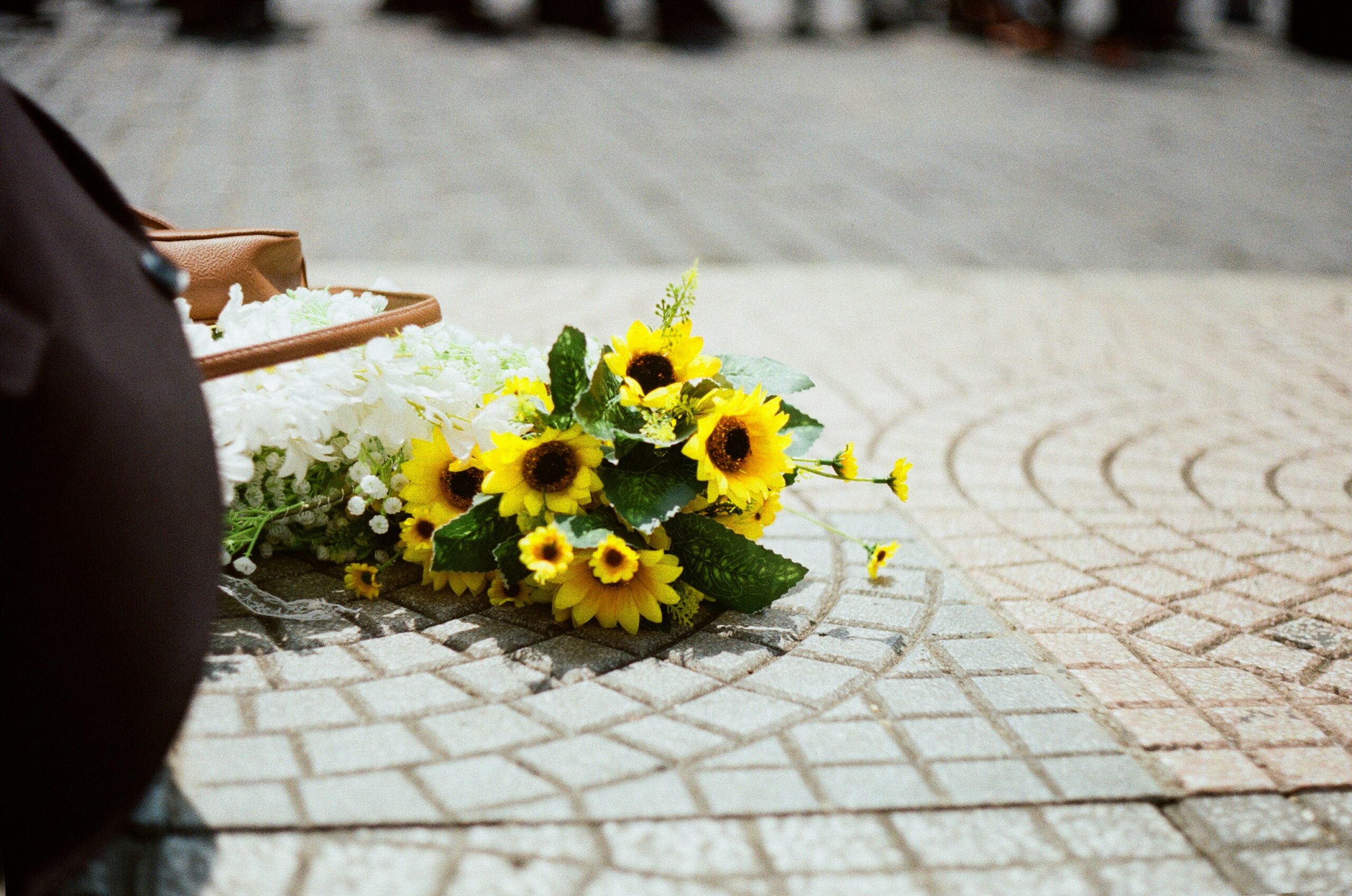 Photo de Francis BOUQUILLION